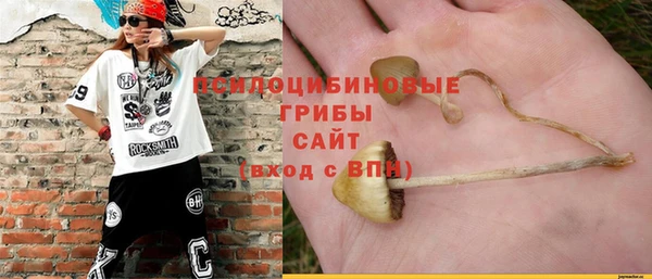 кристаллы Корсаков