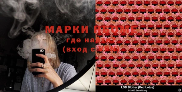 гашик Карпинск