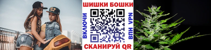 мега tor  Луга  Бошки Шишки ГИДРОПОН 